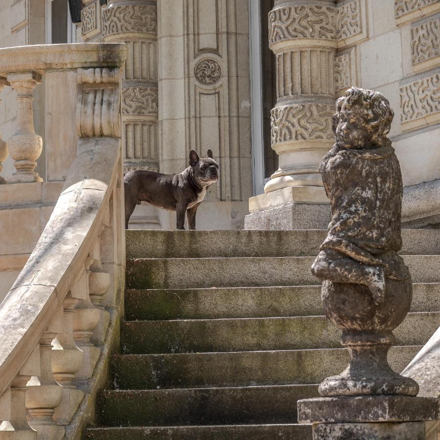Chateau Des Orchidees En Val De Loire Сомюр Екстер'єр фото