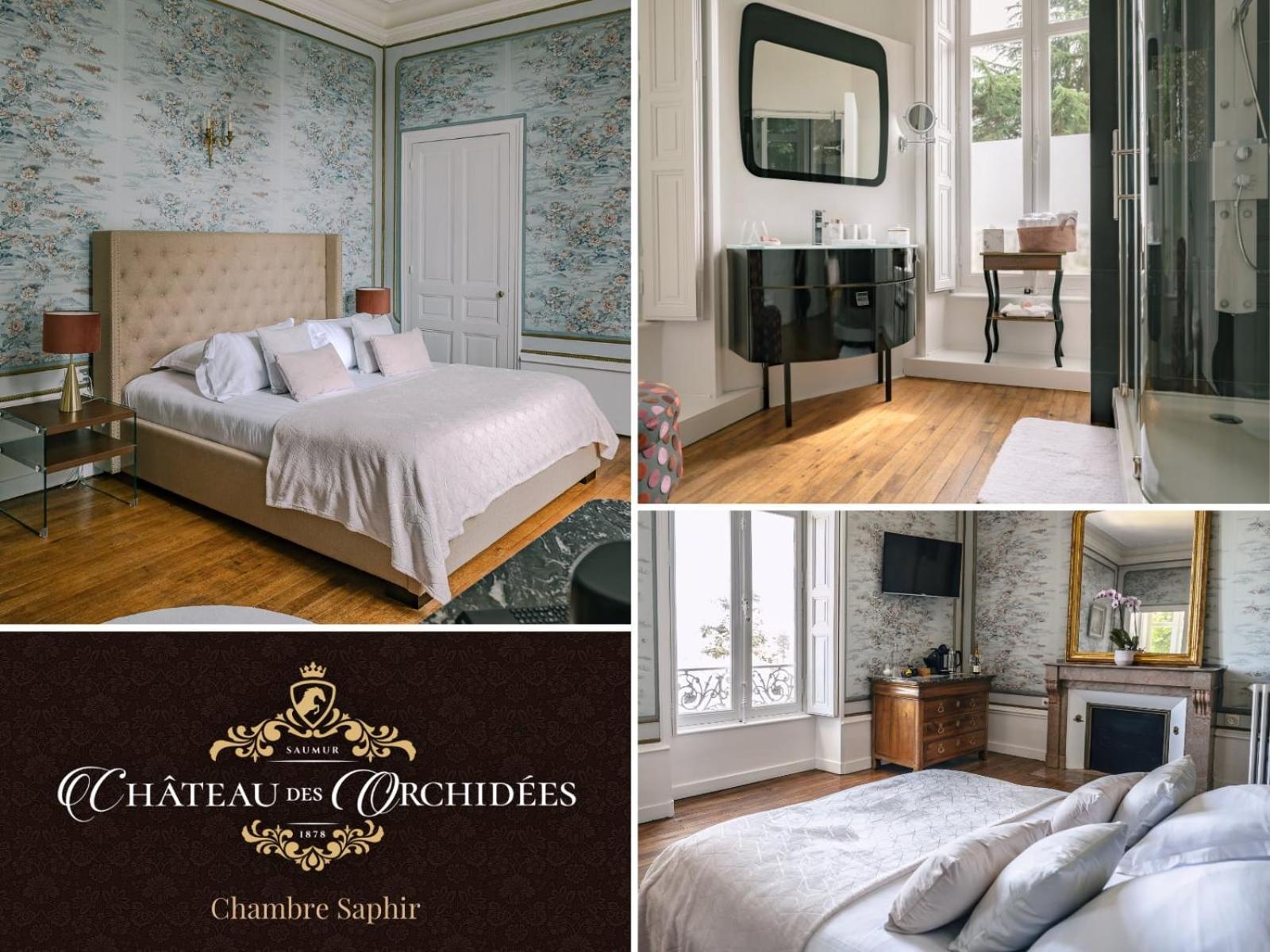 Chateau Des Orchidees En Val De Loire Сомюр Екстер'єр фото